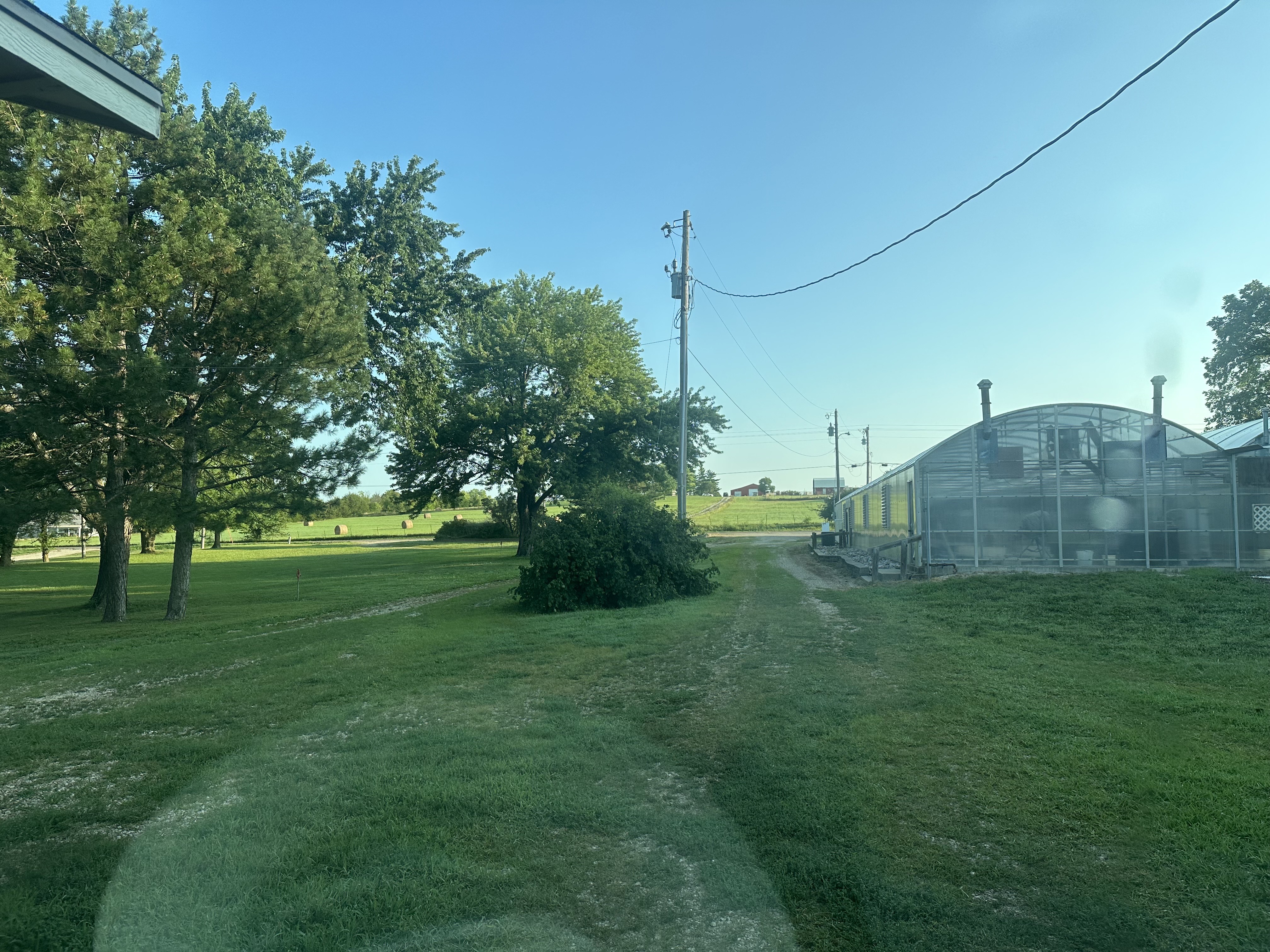 Through the windshield at a grass driveway flanked by trees on the left and a greenhouse on the right